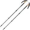 BLACK DIAMOND ALPINE C CORK WR TREK POLES ASTRAL BLUE 23 -Uitrusting Voor Buiten 9 69523 bd112223 4002 01