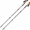 BLACK DIAMOND TRAIL CORK TREKKING POLES PICANTE 23 -Uitrusting Voor Buiten 9 87122 bd112526 pic 01